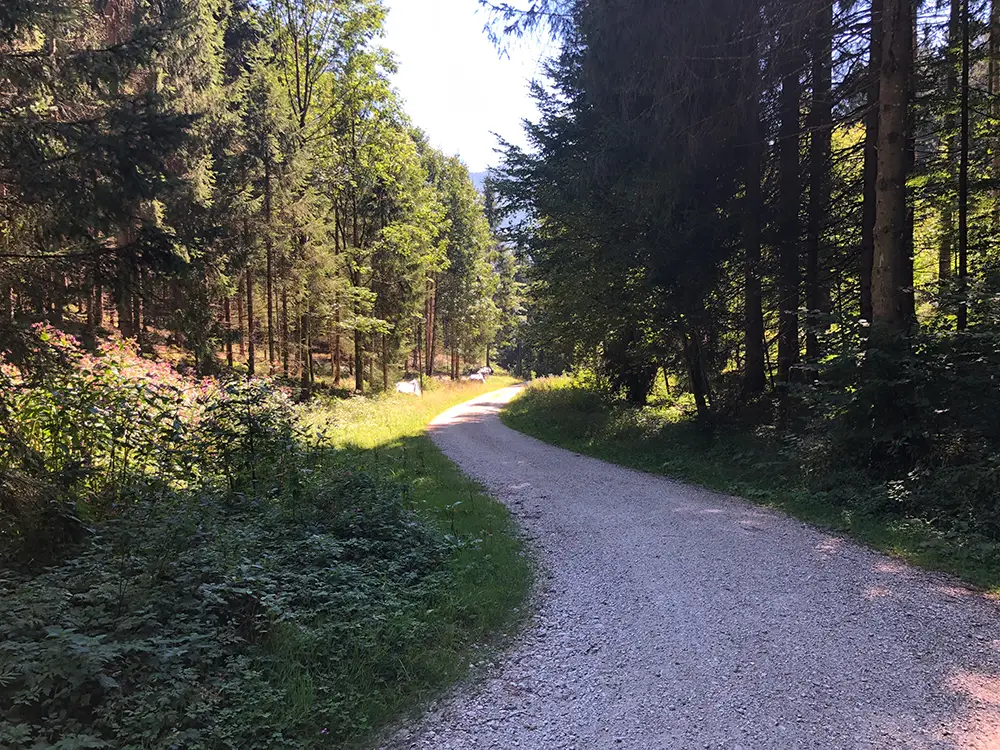 Steile Schotterabfahrt vom Achensee nach Jenbach
