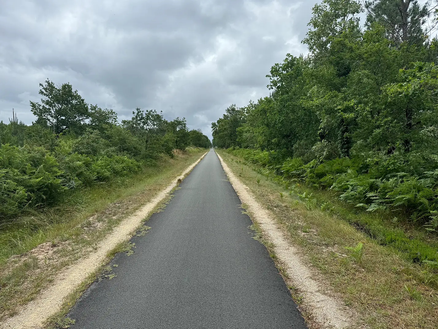 Radweg durch die Wälder
