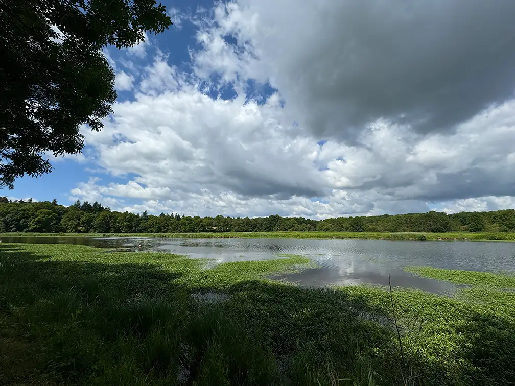 Sonnige Velodyssée-Etappe nach Nort-sur-Erdre