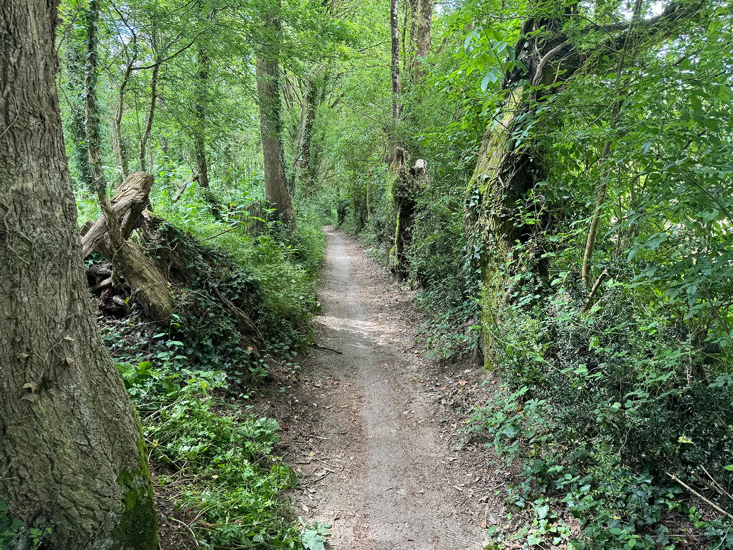 Radweg durch Loire-Atlantique